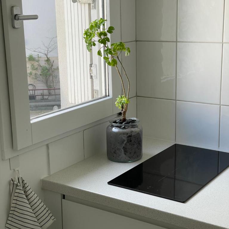 Studio Jardin des Plantes - Appartement 1 Chambre - 7