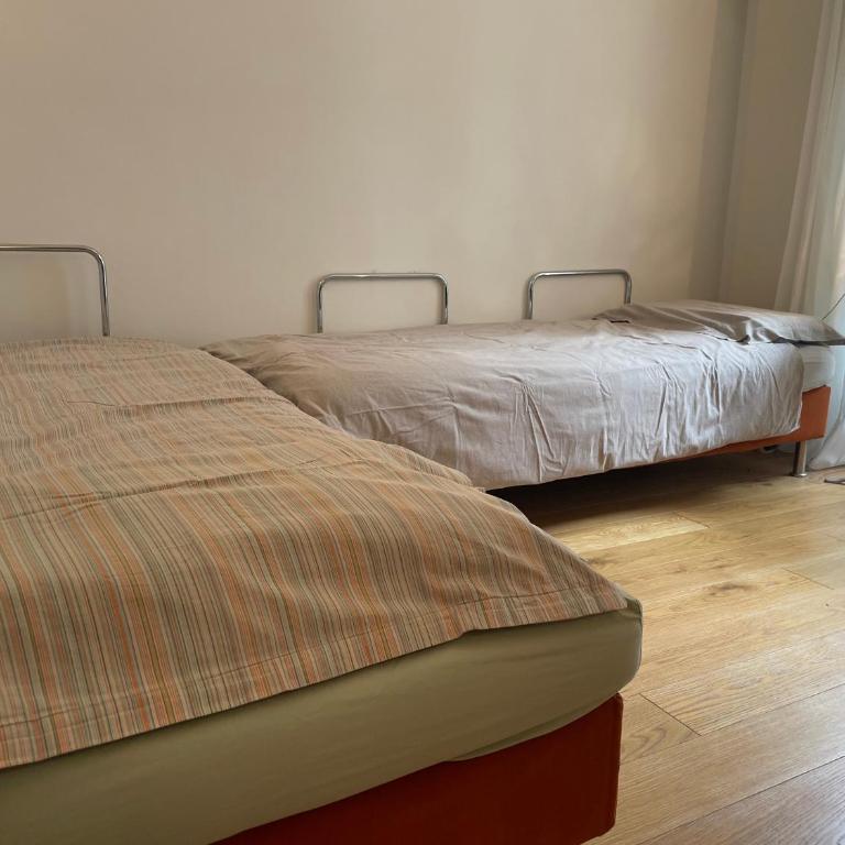 Studio Jardin des Plantes - Appartement 1 Chambre - 13