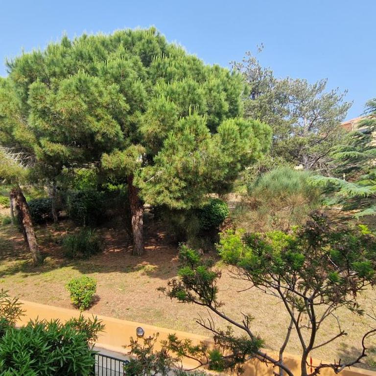 Location appartement bord de mer - Apartment mit 2 Schlafzimmern - 15