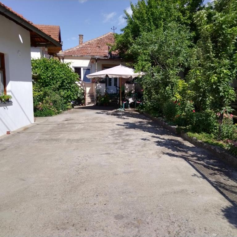 Apartmani Bubamara - Apartman - Prizemlje - 13