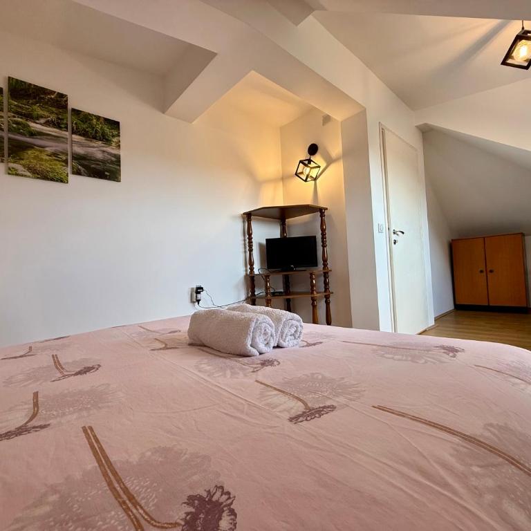 Villa Aurora - Apartman sa 1 Spavaćom Sobom - 18