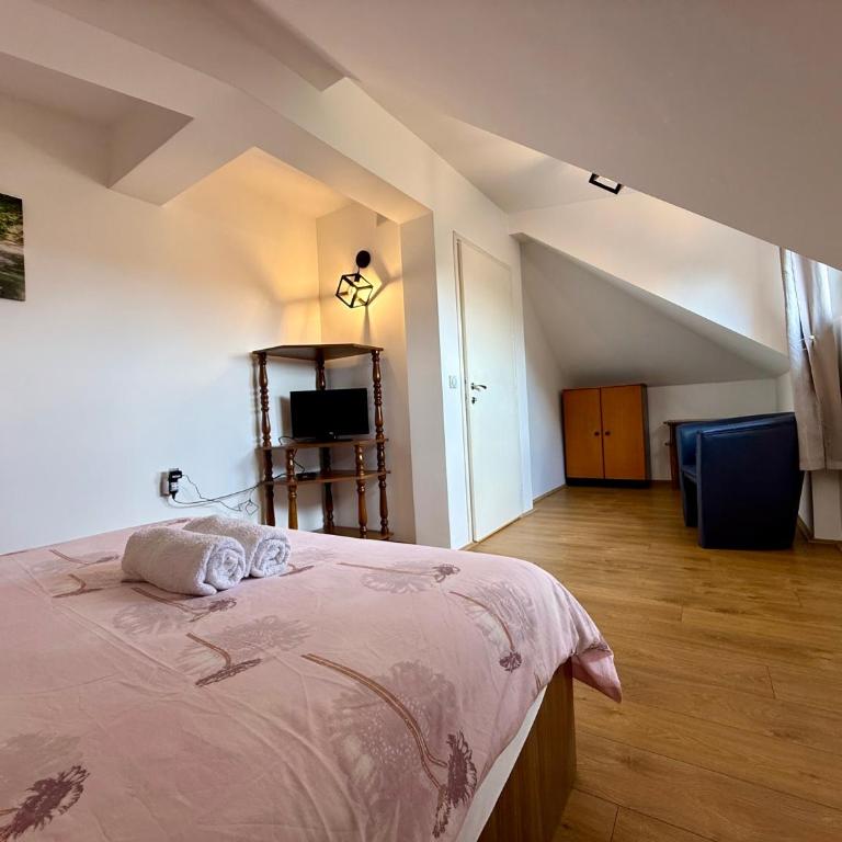 Villa Aurora - Apartman sa 1 Spavaćom Sobom - 17