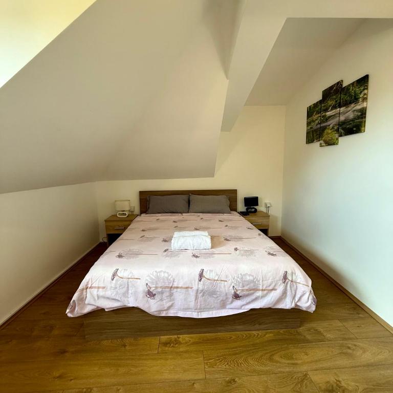 Villa Aurora - Apartman sa 1 Spavaćom Sobom - 4