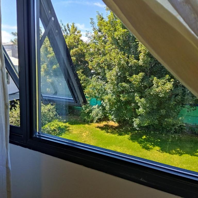 Amado Sur Apartment - Apartamento Deluxe de 1 dormitorio con vistas al jardín - 3