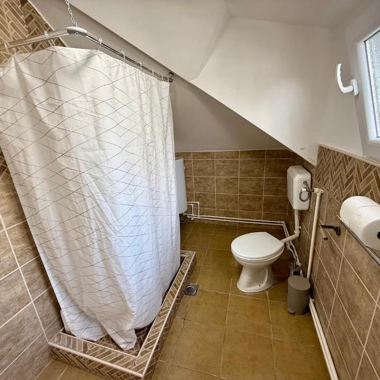 Villa Aurora - Apartman sa 1 Spavaćom Sobom - 10
