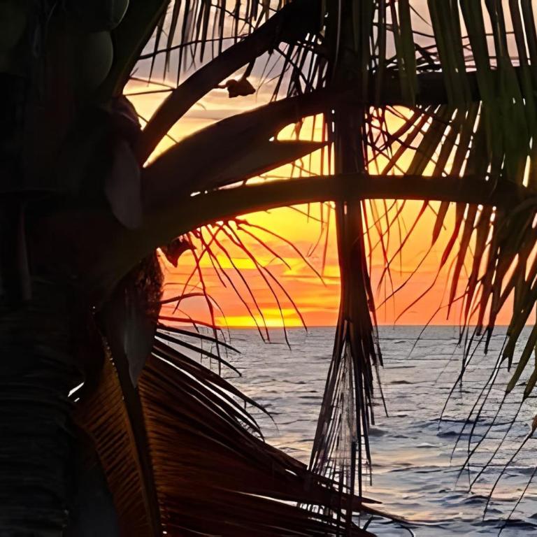 Casa de playa Manglares - Three-Bedroom House - 26