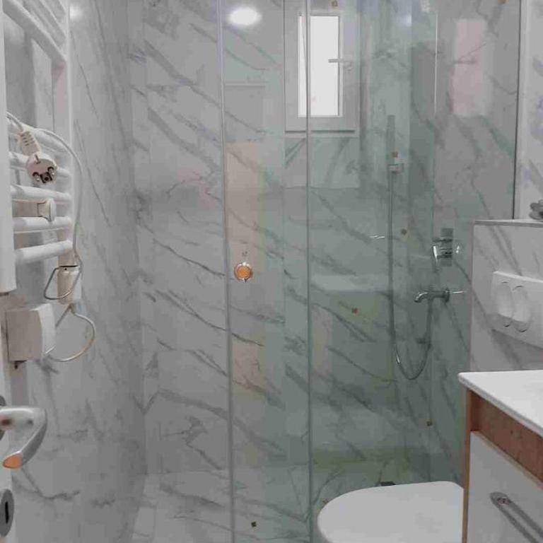 Apartman Vracar - Apartman sa 1 Spavaćom Sobom - 3