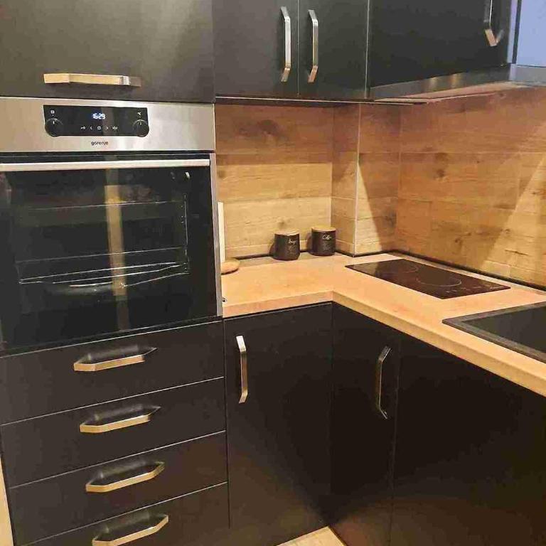 Apartman Vracar - Apartman sa 1 Spavaćom Sobom - 4