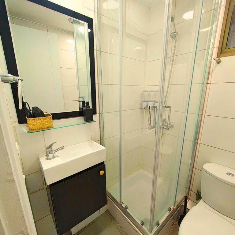 Vistas de Providencia - Apartamento de 2 dormitorios - 8