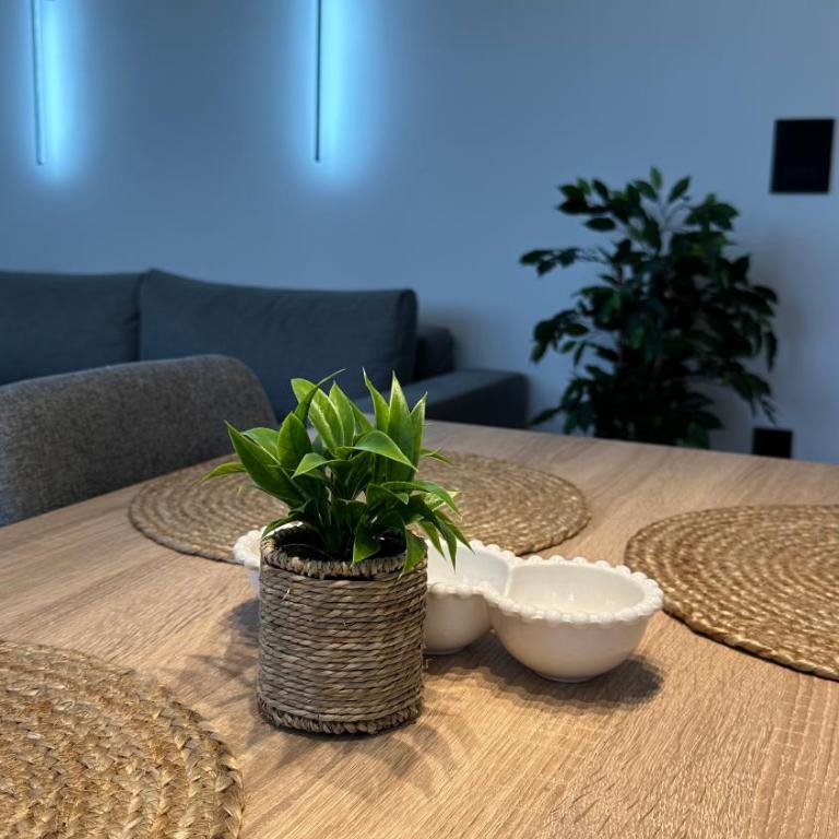 District 21 - One-Bedroom Apartment - 5