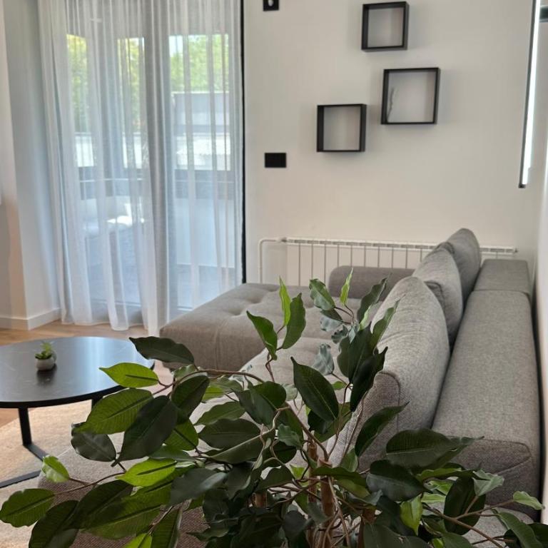 District 21 - One-Bedroom Apartment - 24