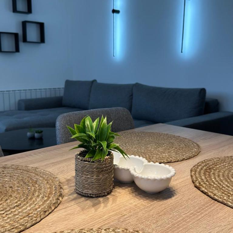 District 21 - One-Bedroom Apartment - 27