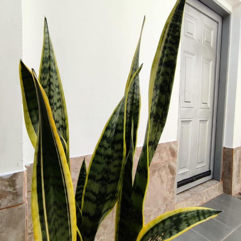 Alojamiento Betina - One-Bedroom Apartment - 3