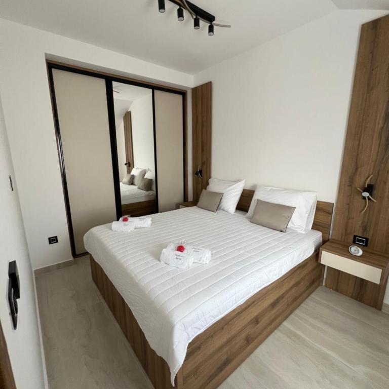 Apartmani Aleksic - Apartman s 1 Spavaćom Sobom i Balkonom - 7