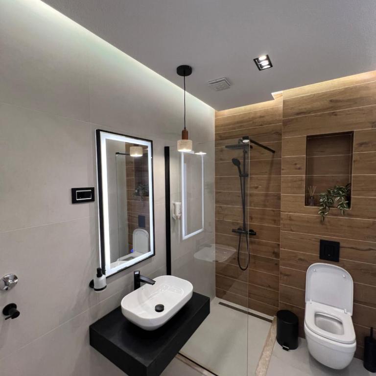 Apartmani Aleksic - Apartman s 1 Spavaćom Sobom i Balkonom - 1