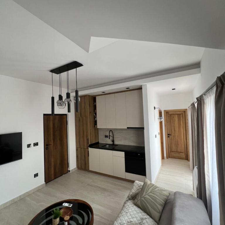 Apartmani Aleksic - Apartman s 1 Spavaćom Sobom i Balkonom - 3