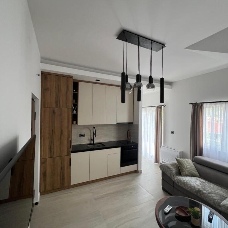 Apartmani Aleksic - Apartman s 1 Spavaćom Sobom i Balkonom - 4