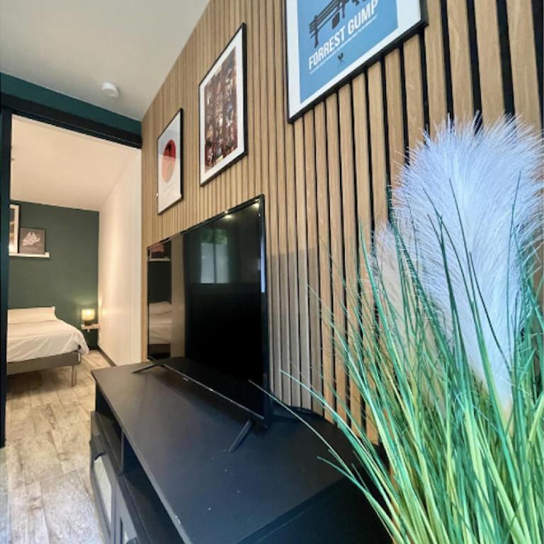 Les Appartements du Pont Joubert - Appartement 1 Chambre - 5