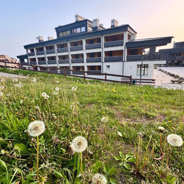 la finestra sulla montagna - One-Bedroom Apartment - 48