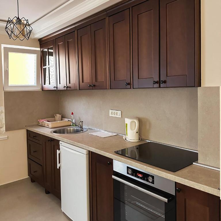 Apartmani Vila Zabljak - Villa - 1