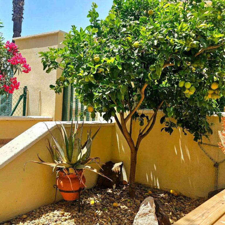 South Facing Townhouse - Direct Pool - ANN01 - Casa Unifamiliar de 2 dormitorios - 3