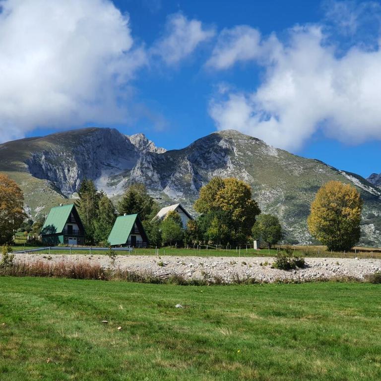 Hush Chalet Durmitor - Brvnara sa 1 Spavaćom Sobom - 16