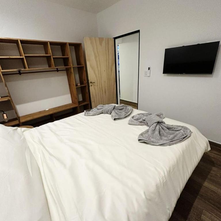 DINASTIE COUNTRY APART - Apartamento de 1 dormitorio con vistas al jardín - 10