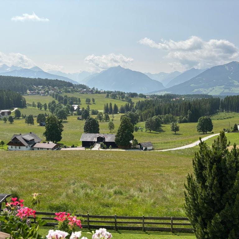 Haus Sonnleitner Appartement Dachstein - Apartamento de 1 dormitorio - 25