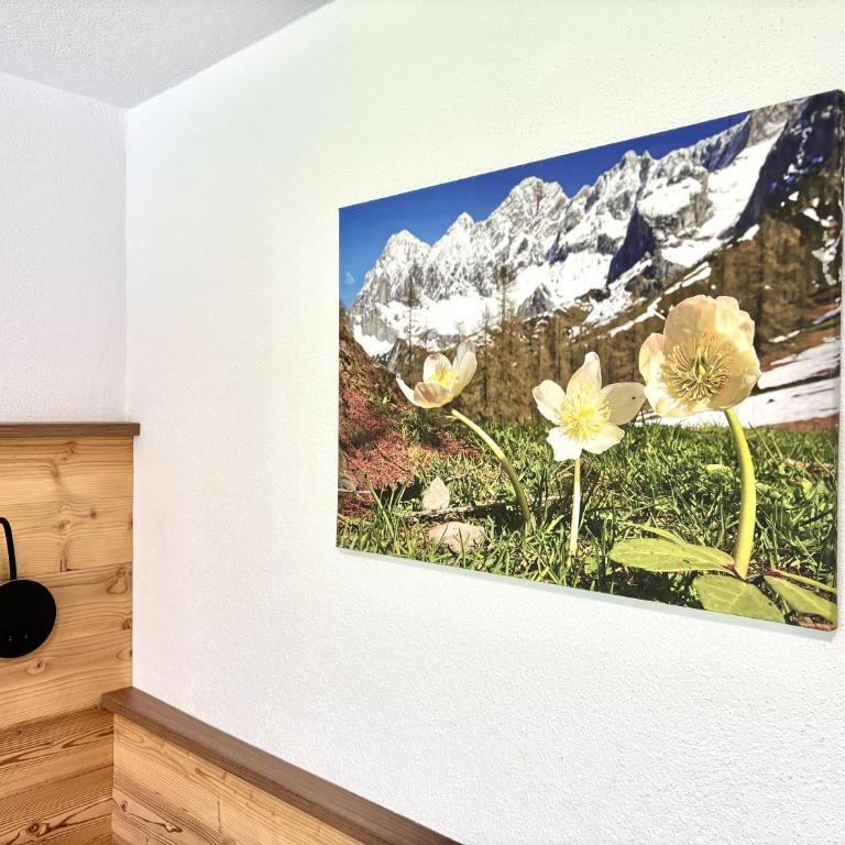 Haus Sonnleitner Appartement Dachstein - Apartamento de 1 dormitorio - 18