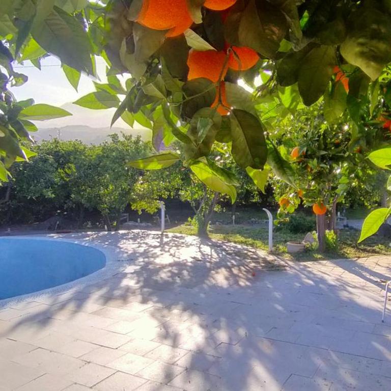aranceto dell'Etna - Villa con Vista Giardino - 12