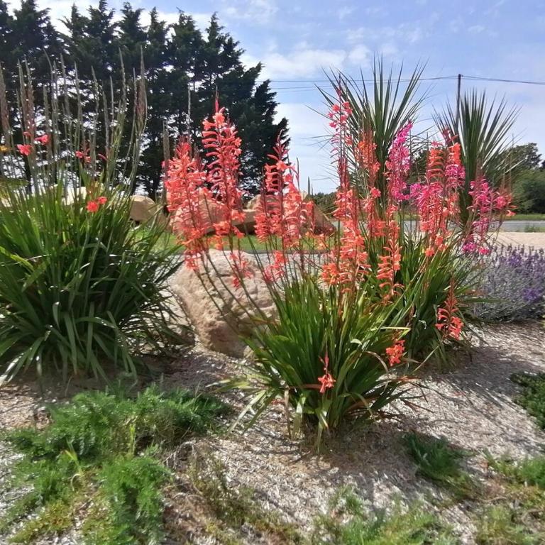 Maison familiale avec jardin à 2 pas de la mer - Casa con 1 Camera da Letto - 14