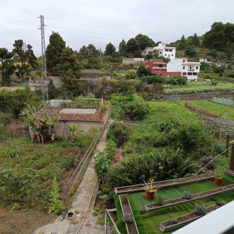 Loft Vista al Teide - Apartamento de 1 dormitorio - 37