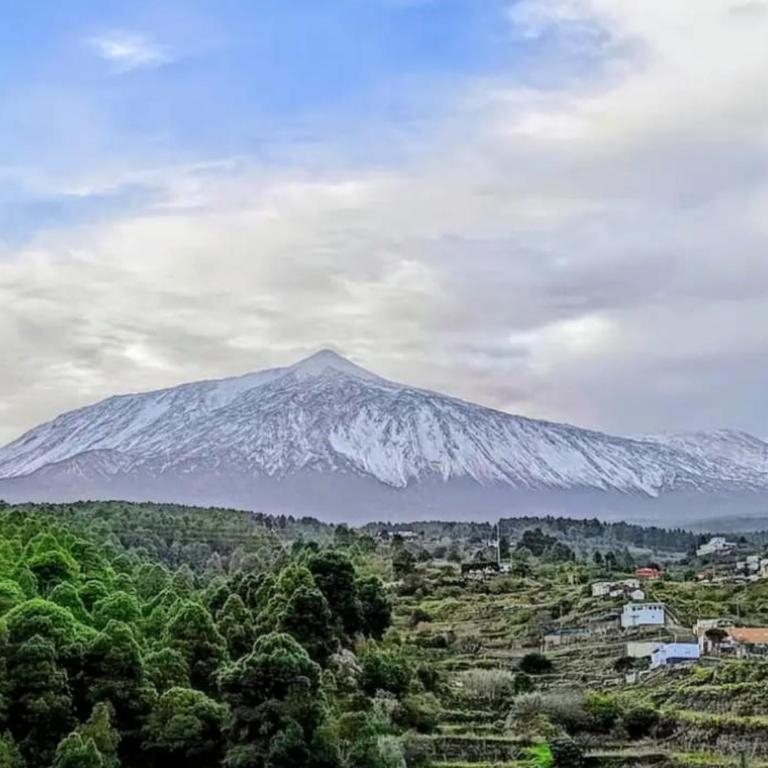 Loft Vista al Teide - Apartamento de 1 dormitorio - 9