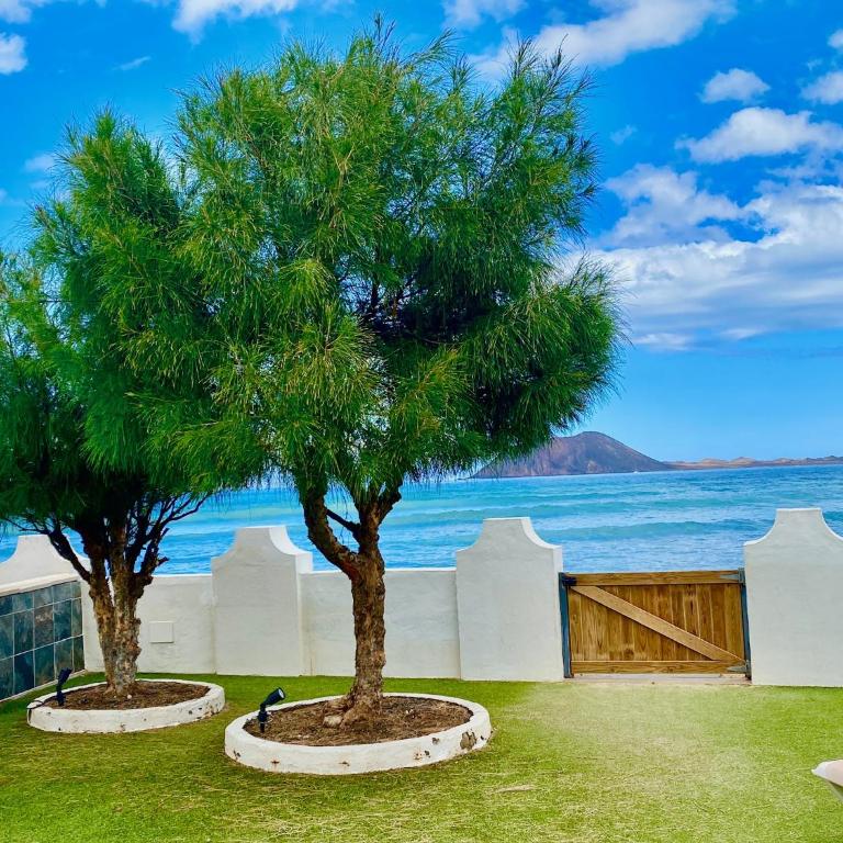 Dalia house, frontbeach, piscina, Corralejo - Casa de 3 dormitorios - 20