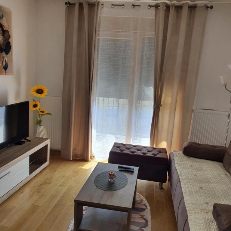 Family Lux Raj - One-Bedroom Apartment with Garden View - 16