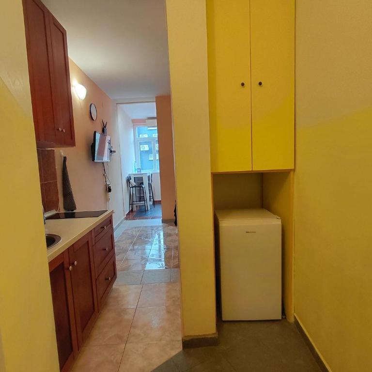 Black Cat Apartment - One-Bedroom Apartment - 13
