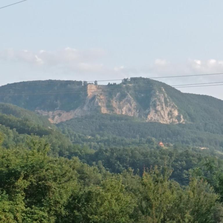 Mirni Raj - Kuća sa 1 Spavaćom Sobom - 15