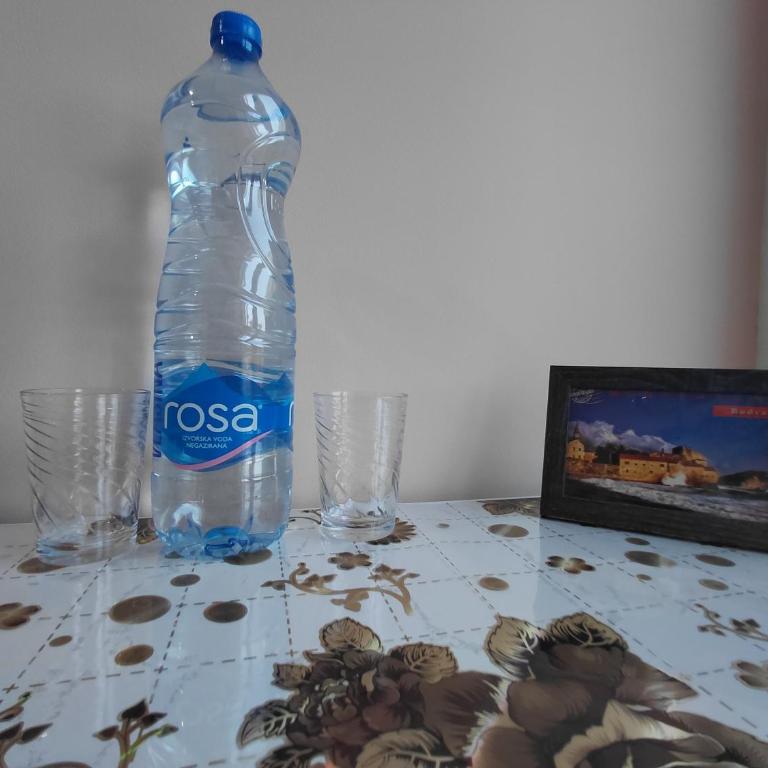 Black Cat Apartment - One-Bedroom Apartment - 21