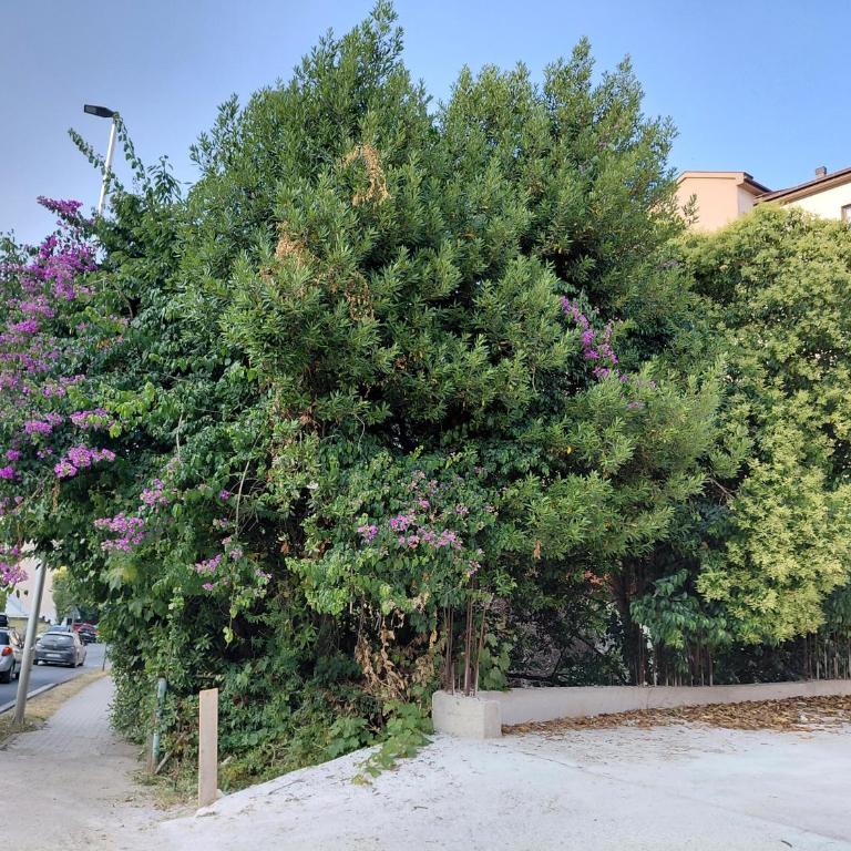 Black Cat Apartment - One-Bedroom Apartment - 29