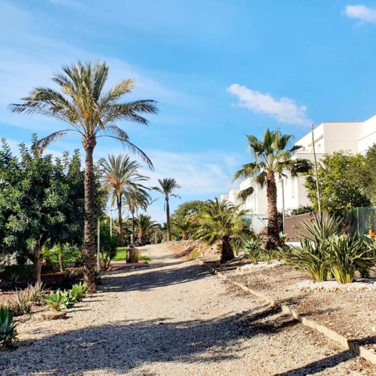 Precioso bajo en El Toyo - Apartamento de 3 dormitorios - 29