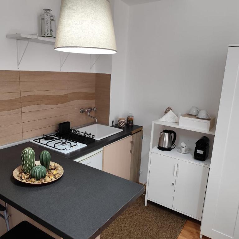 Casa Ross - One-Bedroom Apartment - 7