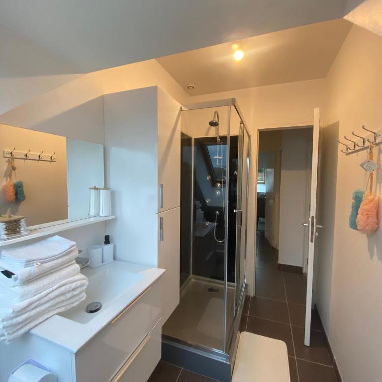 Appartement proche de l'entrée des 24h - Appartamento con 1 Camera da Letto - 7