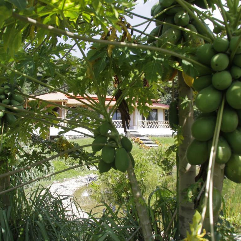 Guaduas de Jade Casa campestre - Villa de 3 dormitorios - 45
