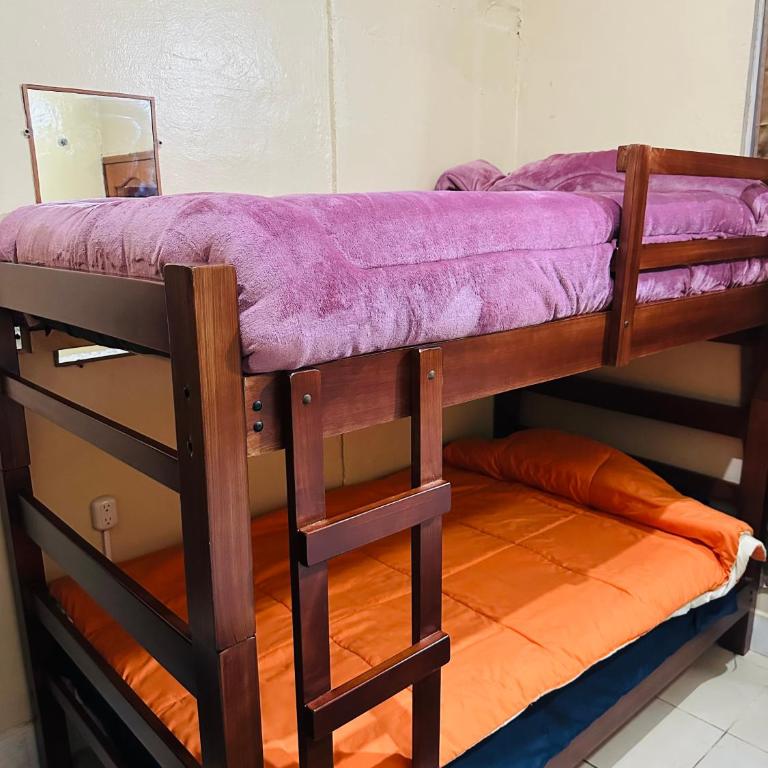 Travel Hotel Quito - Cama individual en dormitorio mixto - 3