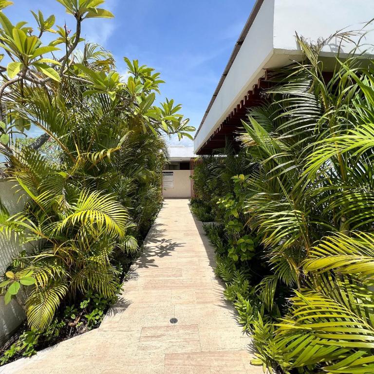 2 Dormitorios junto al mar. Jacuzzi Privado - Apartamento con vistas al mar - 52
