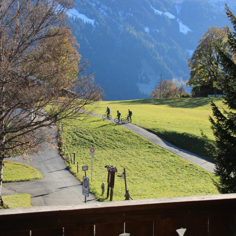 Superior Apartment 100m2 Bodmisonne - Grindelwald - Apartamento de 3 dormitorios - 6