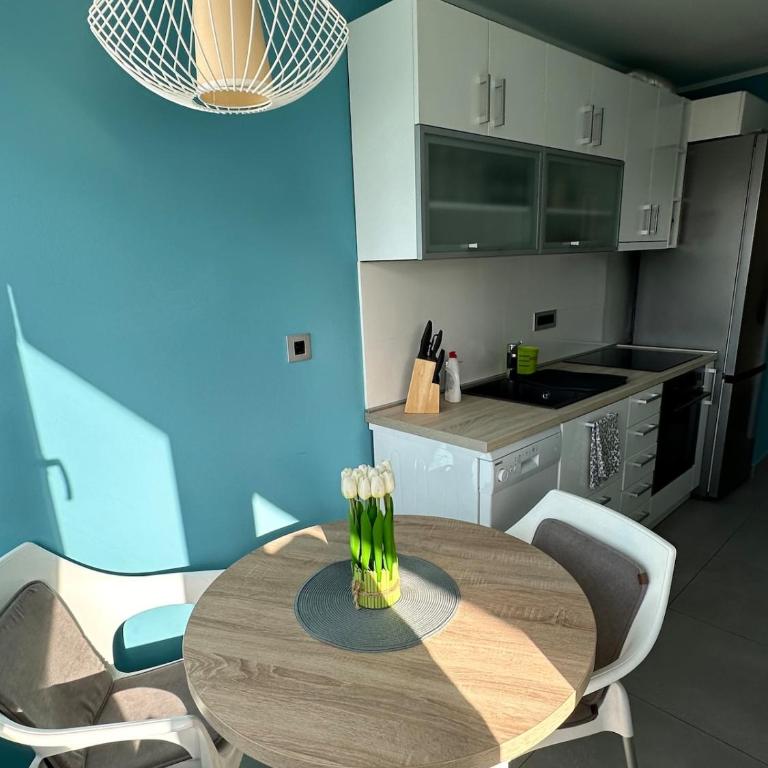 Modern Stay Liman - Apartman sa 1 Spavaćom Sobom - 9