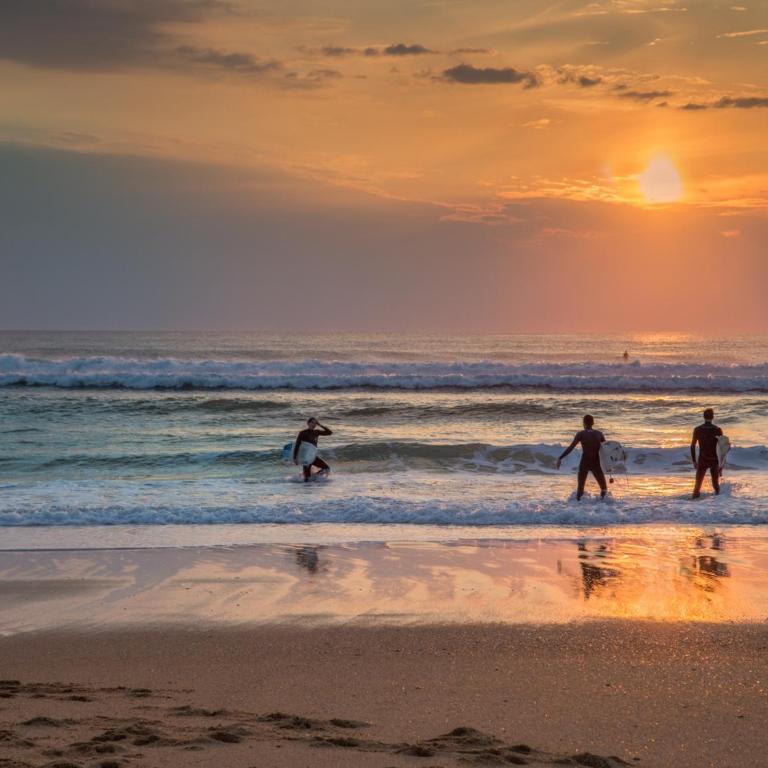 Appartement Spacieux à Seignosse, Terrasse et Parking, à Proximité de la Plage - Appartamento con 2 Camere da Letto - 16
