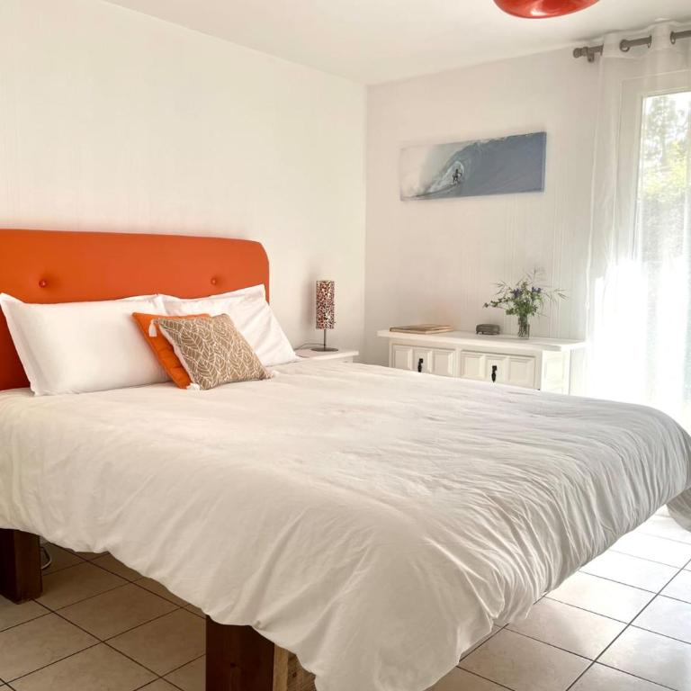 Maison de charme avec jardin, 9 couchages, Capbreton - FR-1-239-1035 - Maison 4 Chambres - 17