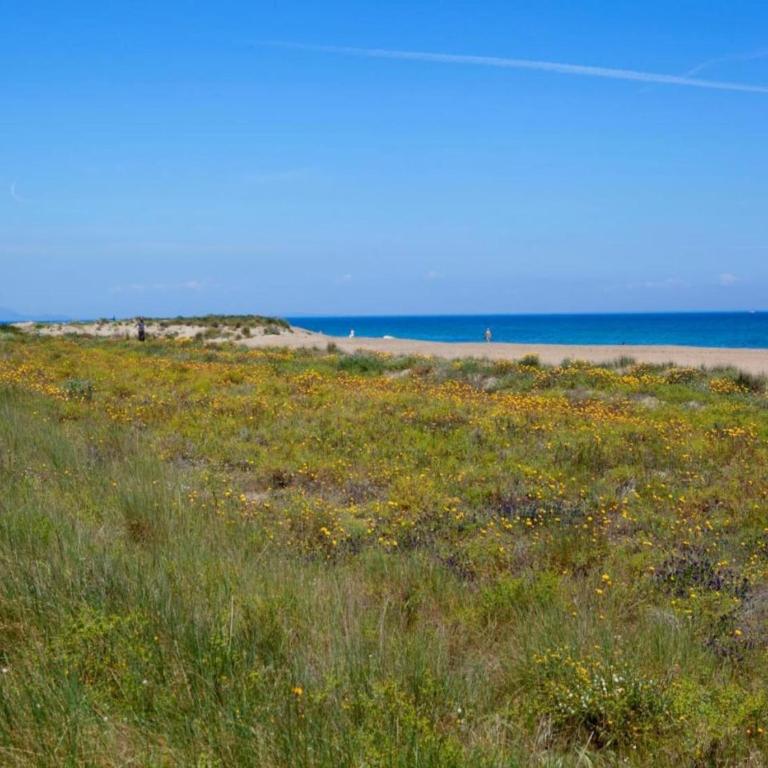 Scenic Villa, Costa Blanca - Villa de 5 dormitorios - 35